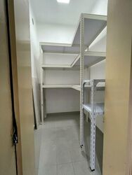 The Waterina (D14), Apartment #463424641